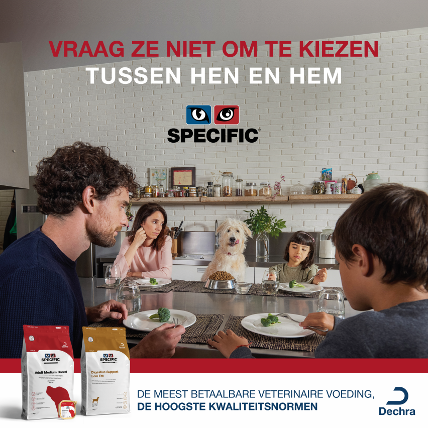 Dechra Specific Kidney Support x12 Dechra Specific Kidney Support x12